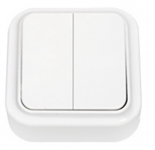 2 кл.выключатель Пралеска (Белый) 2 кл.выключатель Пралеска (Белый)