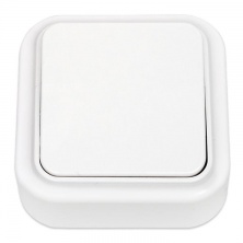 1 кл.выключатель Пралеска (Белый) 1 кл.выключатель Пралеска (Белый)